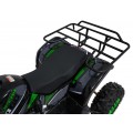 WILDPEAK 110cc Green Gasoline Quad Bike
