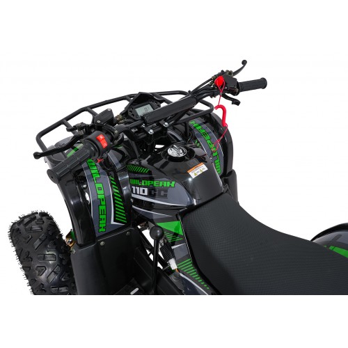 WILDPEAK 110cc Green Gasoline Quad Bike