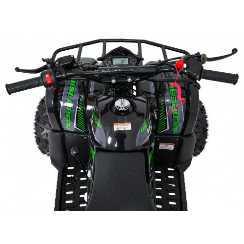 WILDPEAK 110cc Green Gasoline Quad Bike