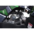 WILDPEAK 110cc Green Gasoline Quad Bike