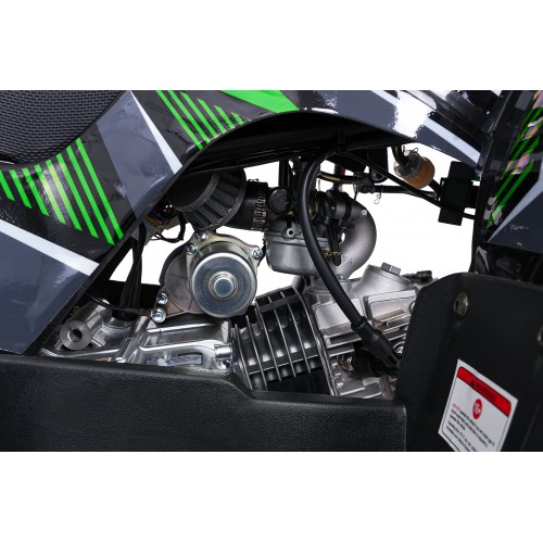 WILDPEAK 110cc Green Gasoline Quad Bike