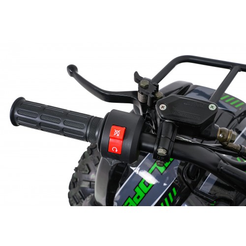 WILDPEAK 110cc Green Gasoline Quad Bike