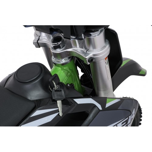 Electric Motor Vehicle POWER TRAIL Green