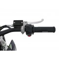 Electric Motor Vehicle POWER TRAIL Green
