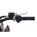 Electric Motor Vehicle POWER TRAIL Red