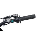 Vehicle TITAN 300cc Green Combustion Engine
