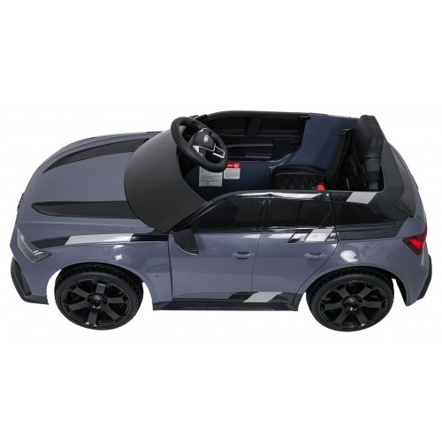 Vehicle Audi RS6 Avant GT Gray