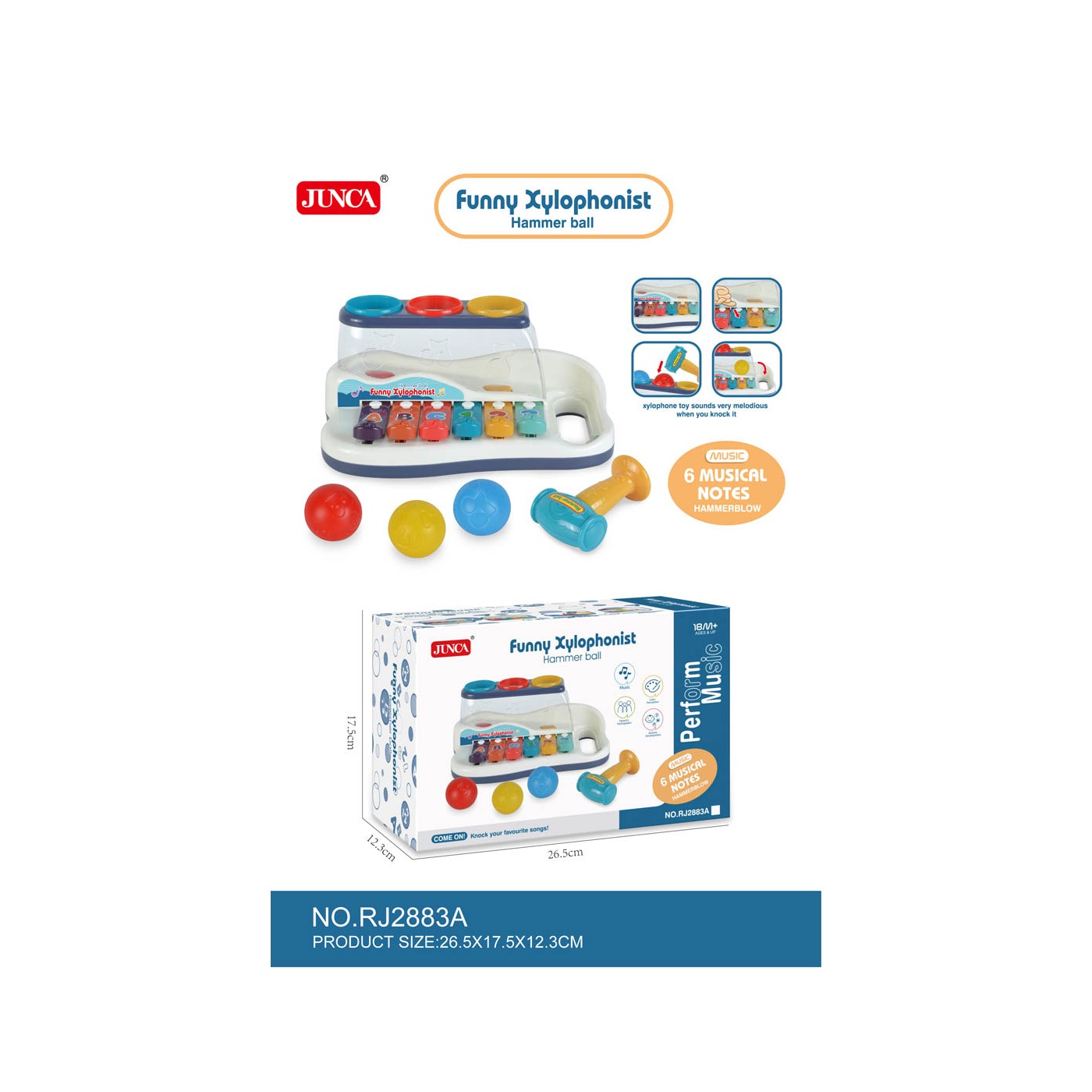 2-in-1 Music Set