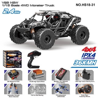 R/C 2.4GHz MONSTER car