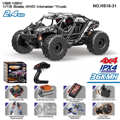 R/C 2.4GHz MONSTER car