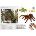 Tarantula R/C spider