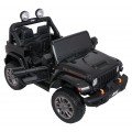 Jeep Wrangler Rubicon LIFT Black Vehicle
