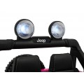 Jeep Wrangler Rubicon LIFT Pink Vehicle
