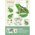 Animal Anatomy Educational Toy Frog