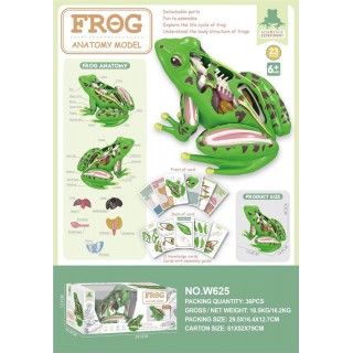 Animal Anatomy Educational Toy Frog