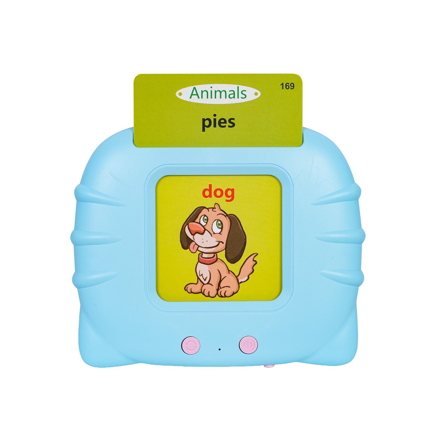 Educational Learning Card Set Blue