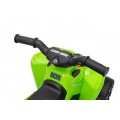 MINI Can Am Renegade ATV Green