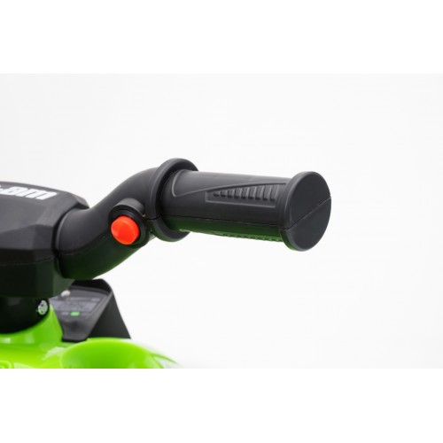 MINI Can Am Renegade ATV Green