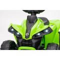 MINI Can Am Renegade ATV Green