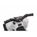 MINI Can Am Renegade ATV White