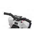 MINI Can Am Renegade ATV White