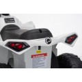 MINI Can Am Renegade ATV White