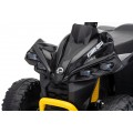 MINI Can Am Renegade ATV Black