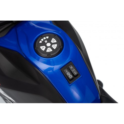 Vehicle Motor BMW G310GS Blue