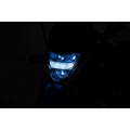 Vehicle Motor BMW G310GS Blue
