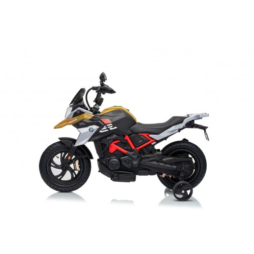Vehicle Motor BMW G310GS Champagne