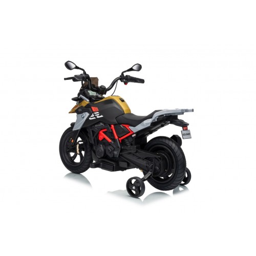 Vehicle Motor BMW G310GS Champagne