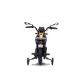 Vehicle Motor BMW G310GS Champagne
