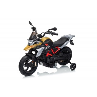 Vehicle Motor BMW G310GS Champagne