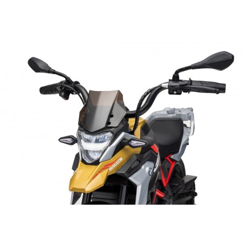 Vehicle Motor BMW G310GS Champagne