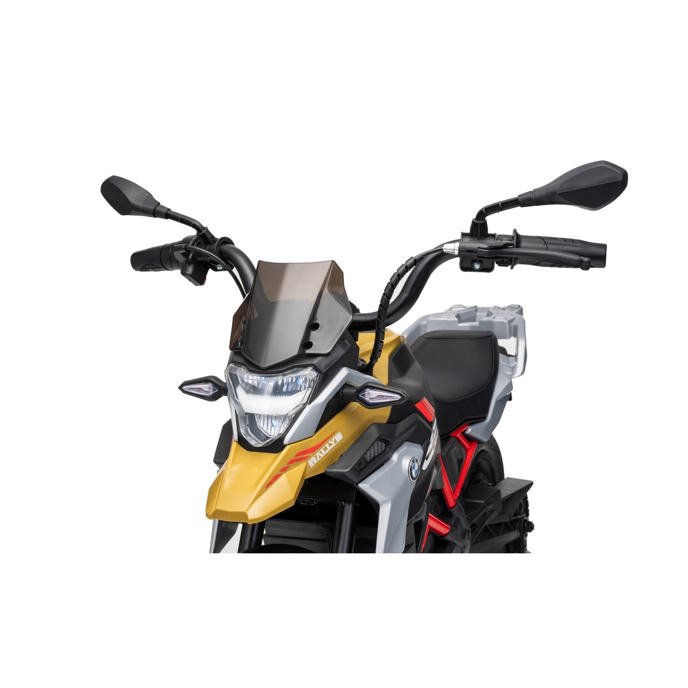 Vehicle Motor BMW G310GS Champagne