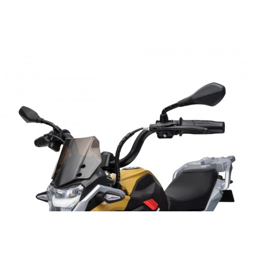 Vehicle Motor BMW G310GS Champagne