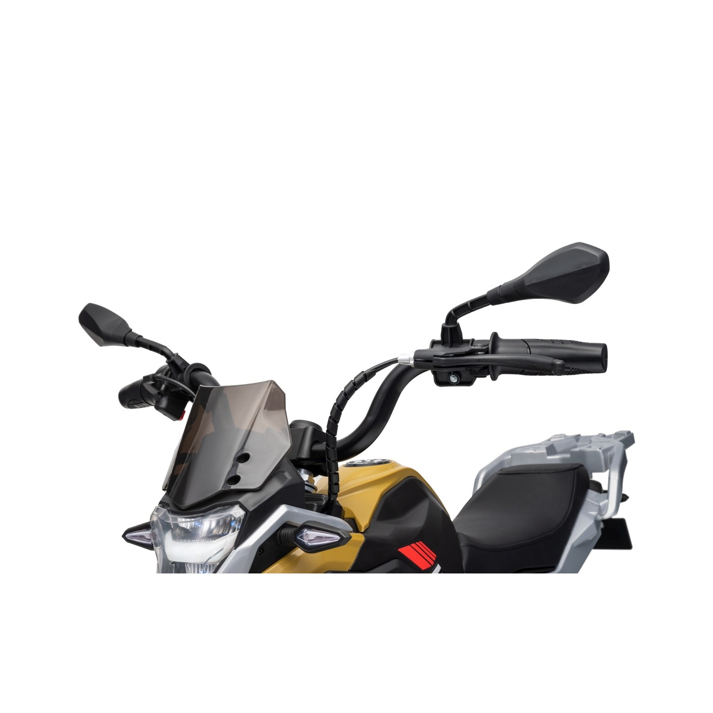 Vehicle Motor BMW G310GS Champagne
