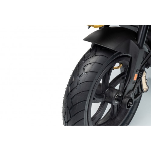 Vehicle Motor BMW G310GS Champagne