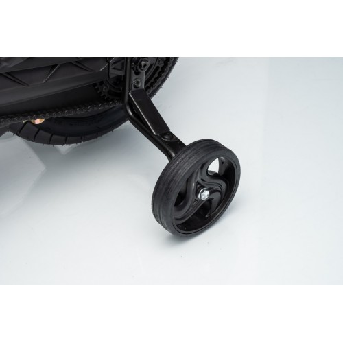 Vehicle Motor BMW G310GS Champagne