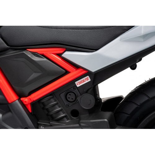 Vehicle Motor BMW G310GS Champagne
