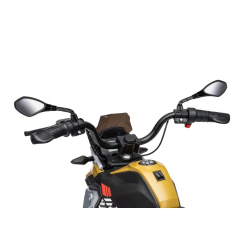 Vehicle Motor BMW G310GS Champagne