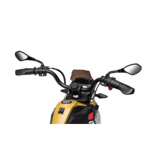 Vehicle Motor BMW G310GS Champagne