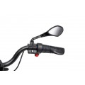 Vehicle Motor BMW G310GS Champagne