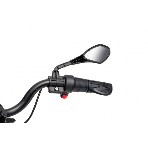 Vehicle Motor BMW G310GS Champagne