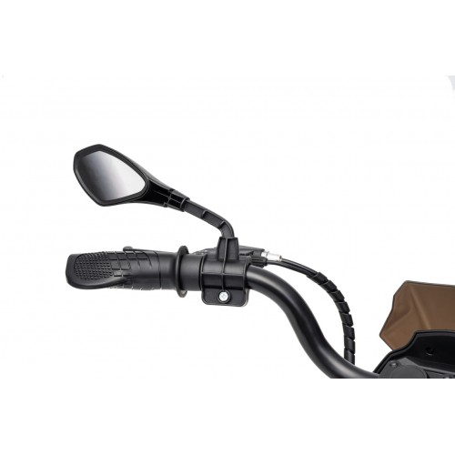 Vehicle Motor BMW G310GS Champagne