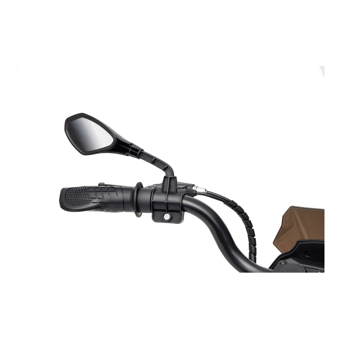 Vehicle Motor BMW G310GS Champagne