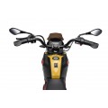 Vehicle Motor BMW G310GS Champagne