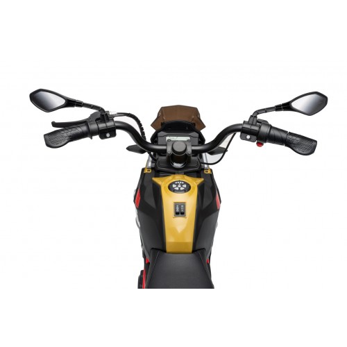 Vehicle Motor BMW G310GS Champagne