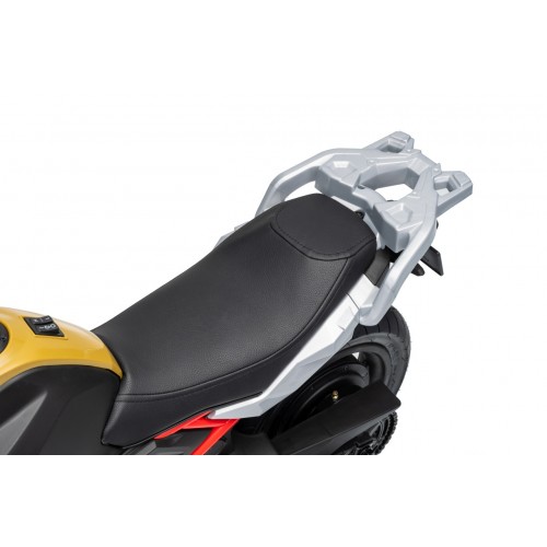 Vehicle Motor BMW G310GS Champagne