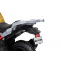Vehicle Motor BMW G310GS Champagne